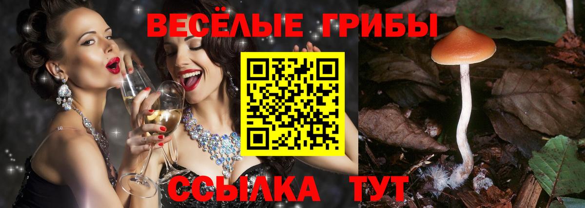 Галлюциногенные грибы MAGIC MUSHROOMS  Вход с VPN  Новотроицк  Галлюциногенные грибы GOLDEN TEACHER 